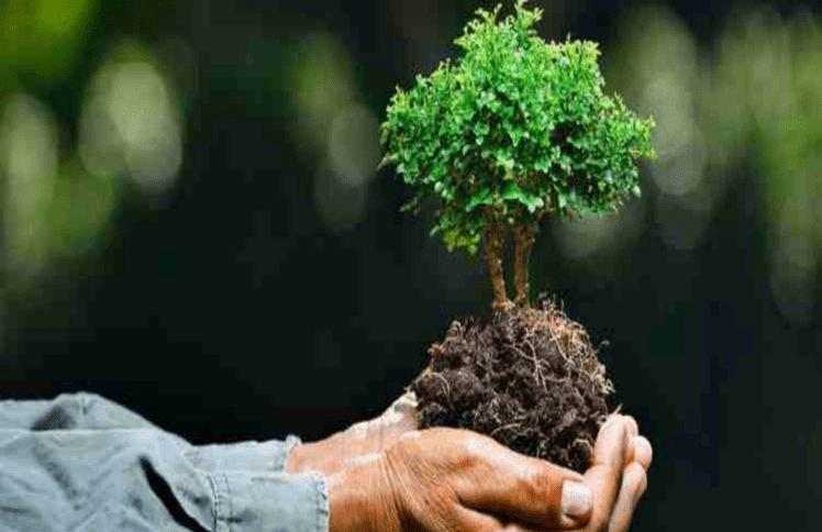 马太·斯利斯：离开急诊室，做“绿色医生”