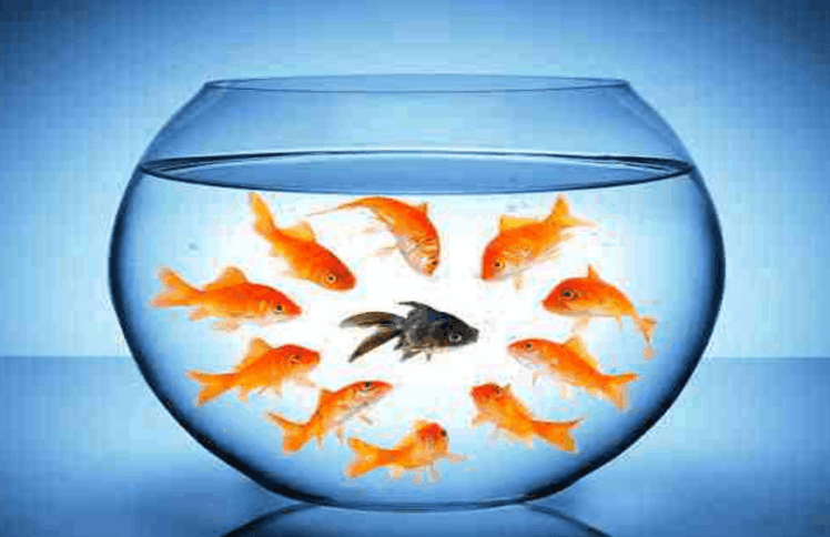 “精英生活”是个套儿?——从三嫂院士和袁立谈起