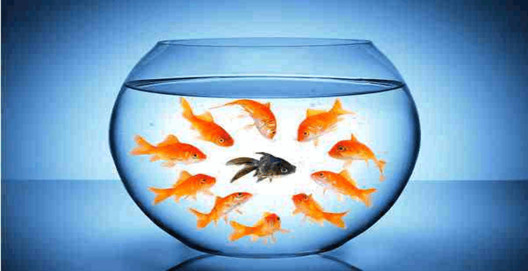 “精英生活”是个套儿？——从三嫂院士和袁立谈起