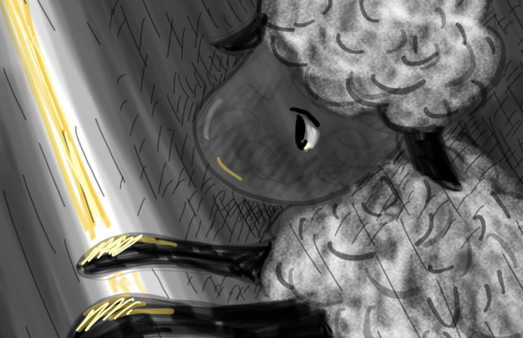 原创绘本 | 羊儿不再为此死去