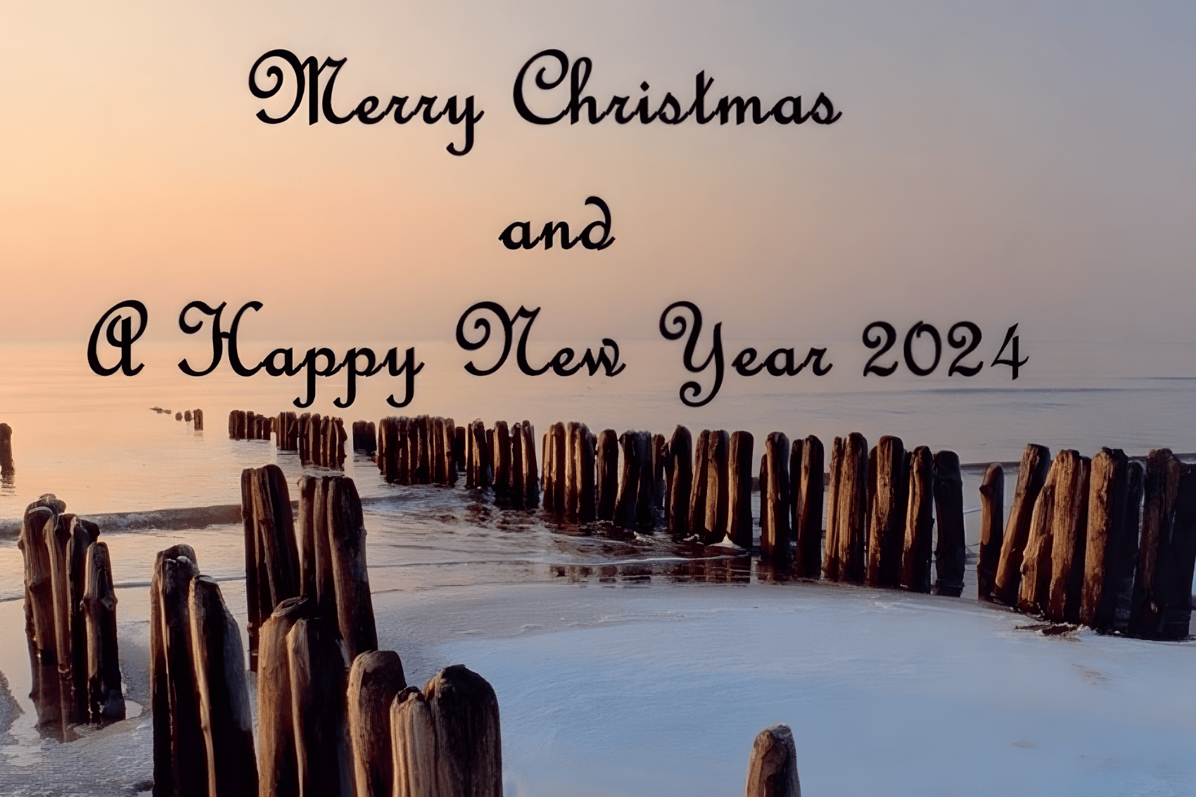 2024，迟到的献辞，活着的今天