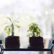 28年来，妻子就是我的眼睛