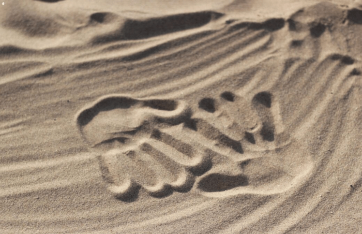 自杀的父亲、唐氏症的儿子,生活教会我什么?