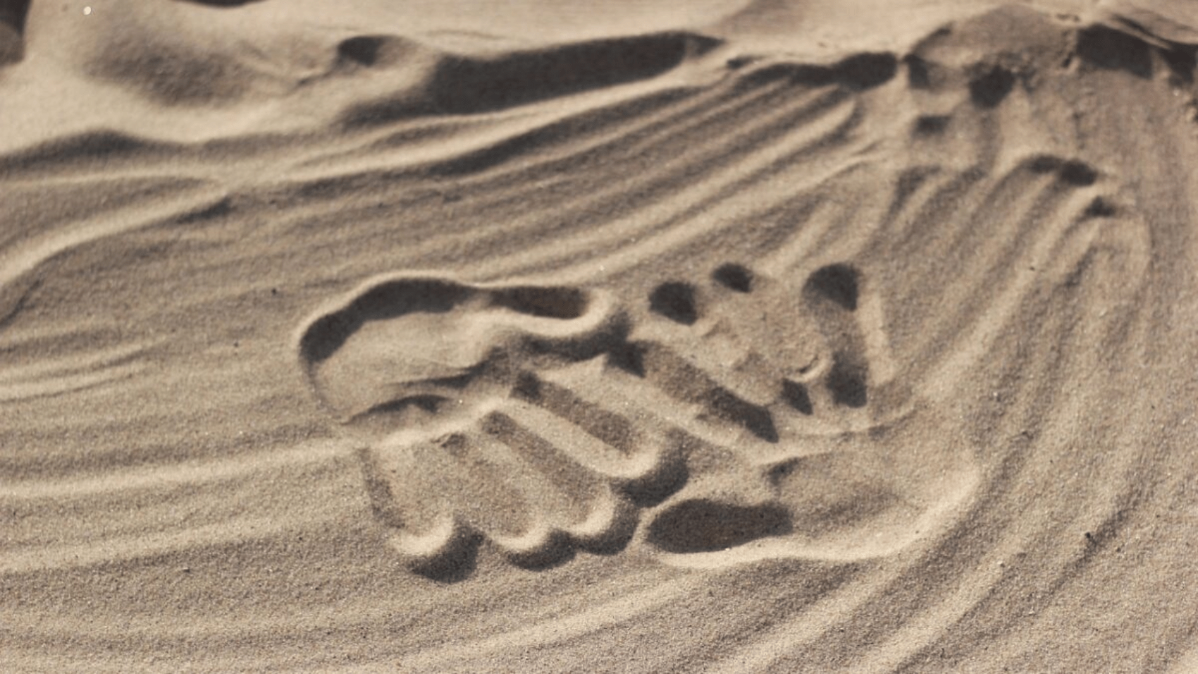 自杀的父亲、唐氏症的儿子，生活教会我什么？