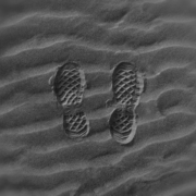 未曾一败涂地，何来舍命跟随？