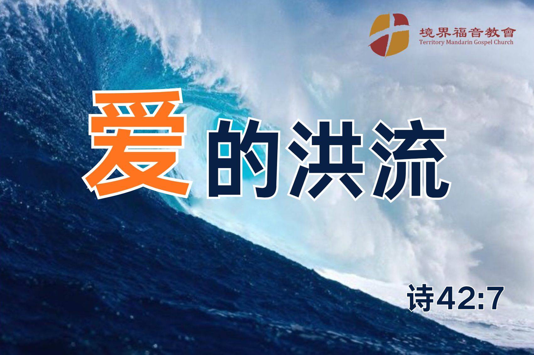 11月30日 沈颖师母：爱的洪流